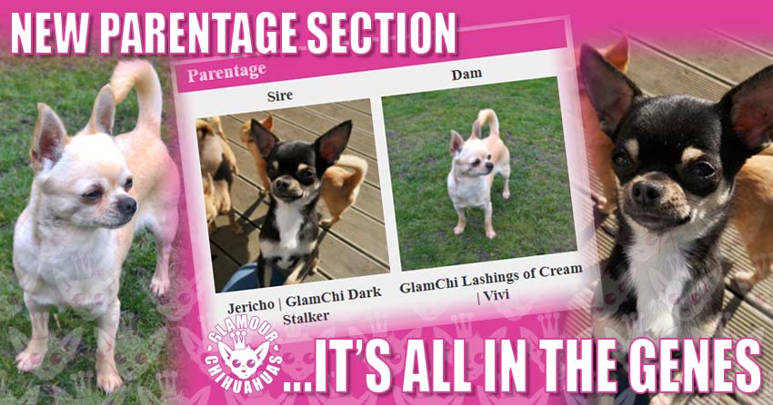 New Parentage Sections banner image