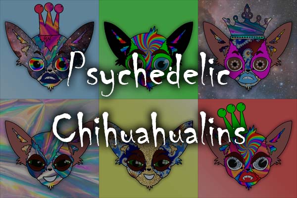 Psychedelic Chihuahualins banner image